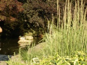 DSC08246.JPG